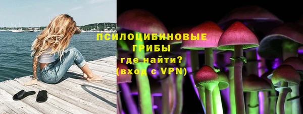 спиды Алексеевка