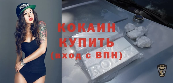 дживик Алексин