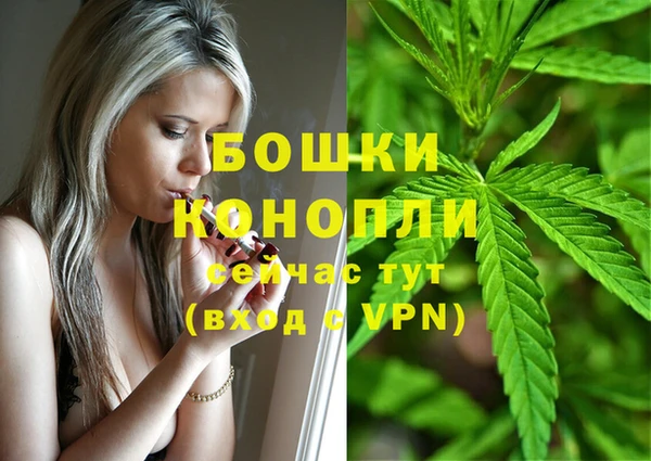 трава Алзамай