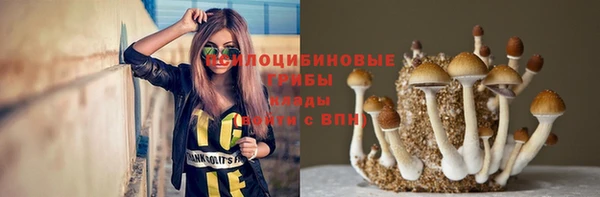 трава Алзамай
